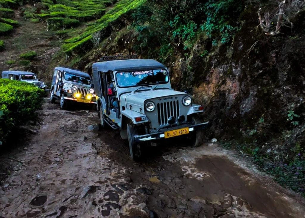 Chinnar Wildlife Jeep Safari