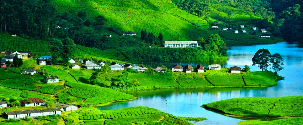 Munnar & Thekkady Getaway