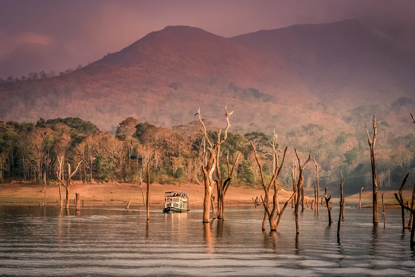 Periyar Lake at Dawn