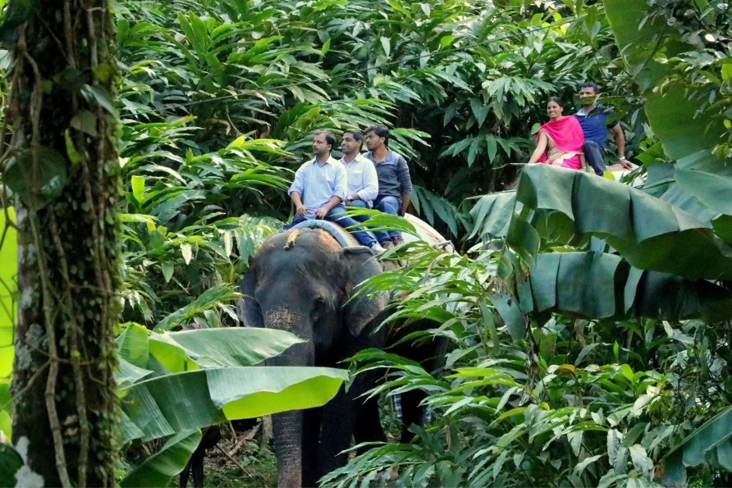 Thekkady Wildlife Explorer